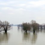 Erstes Hochwasser 2020 Foto: ADFC Dinslaken-Voerde